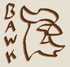 ChickenMakerNet's tweet photo. The angled "chisel" brush (just a 4px diagonal line) is the most quintessentially MS Paint tool. It's not even good, but everyone loves to misuse it.

https://t.co/ef3YgZBG19 https://t.co/ABh2Dnc3uc