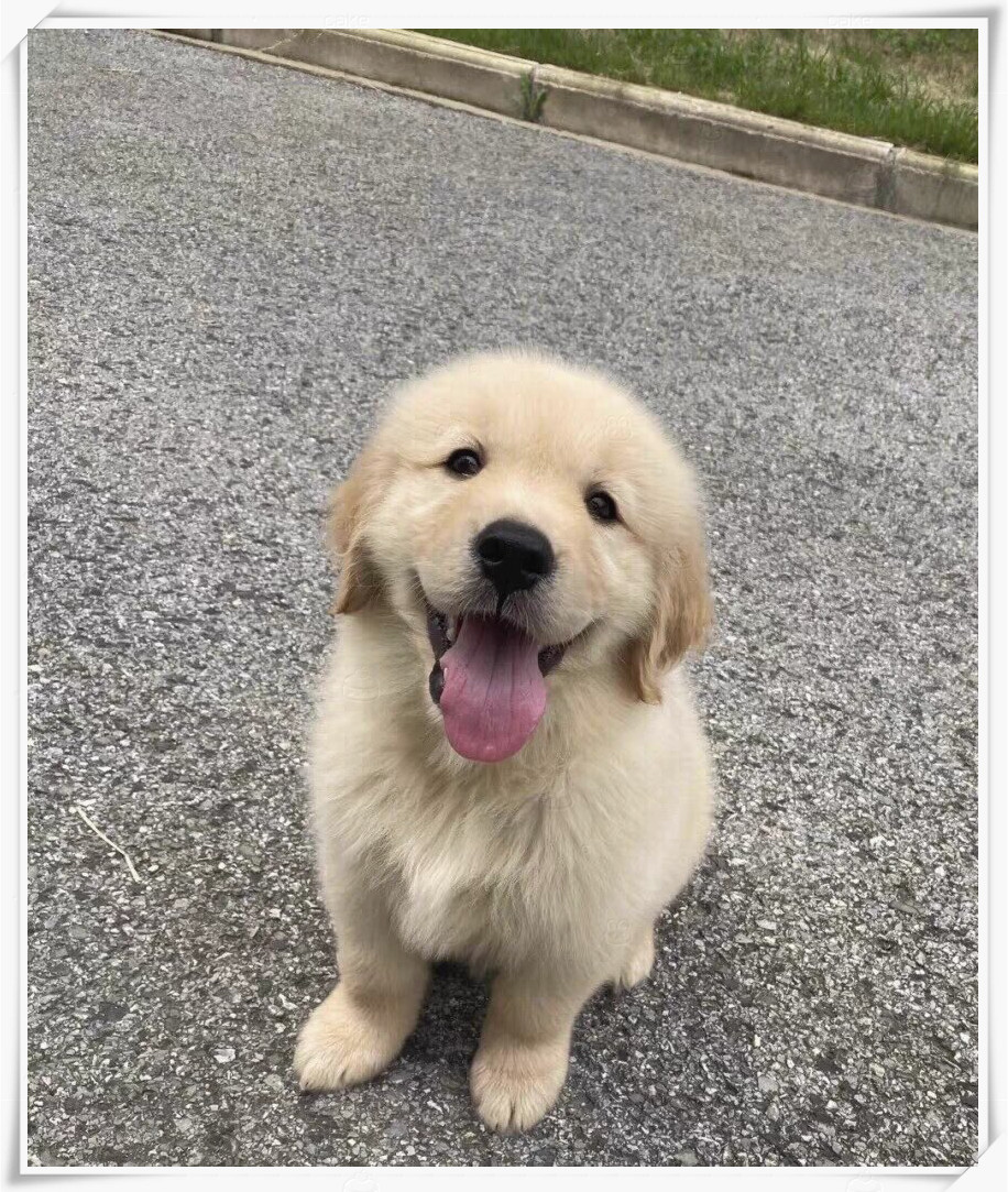 Edgardo Ballester tweet media