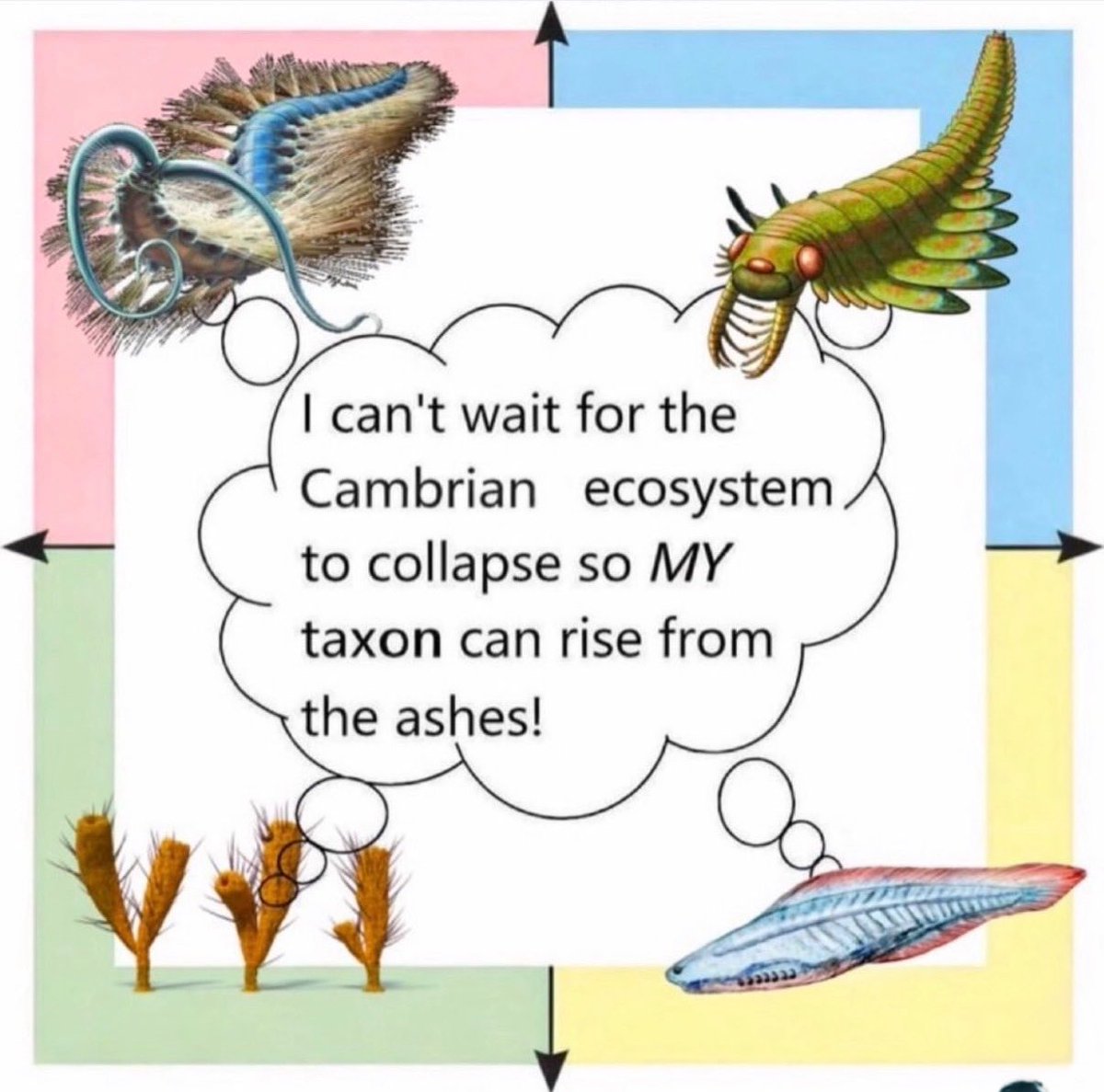 Entomemeology tweet media