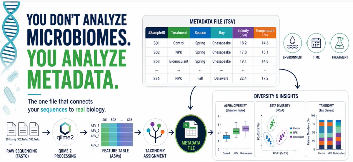 JojyJon's tweet image. Metadata is the file that connects sequences → biology.
🧬 Day 75 — with an interactive explainer

You ran QIIME 2. You have ASVs + diversity.

But without metadata…
 You don’t know what your results mean.

📝jojyjohn28.github.io/blog/metadata-…

#microbiome #QIIME2 #metadata