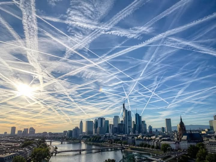 Klaus von Gerhard tweet media