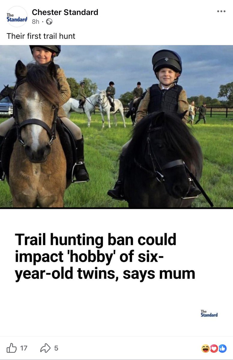 Wiltshire Hunt Saboteurs tweet media