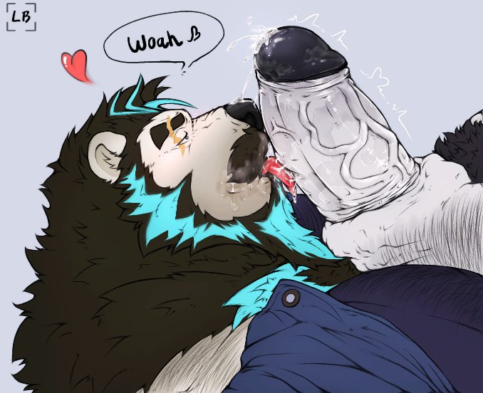 Lapubear tweet media