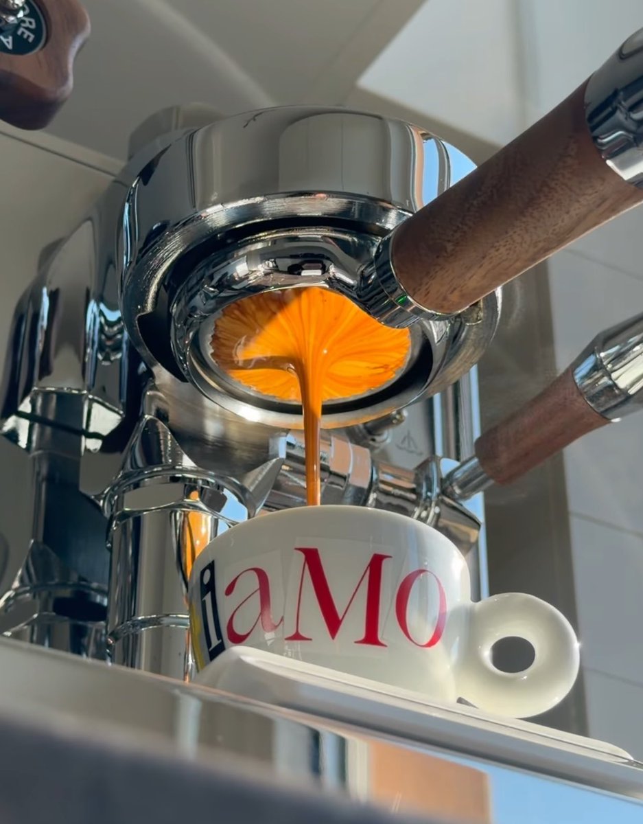 Elle Lookbook tweet media