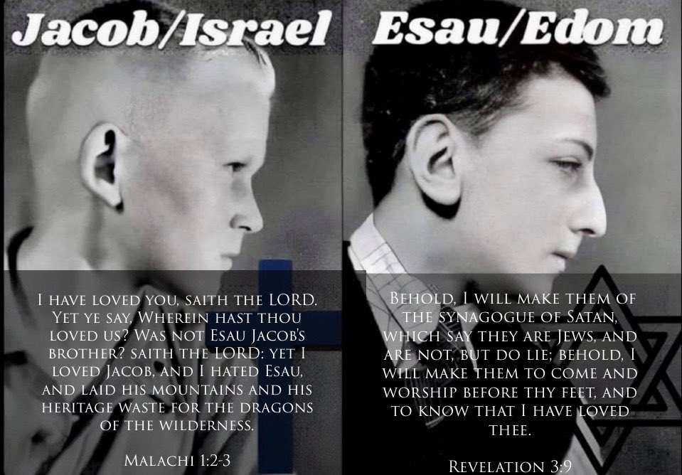 Stellaaaaaa tweet media