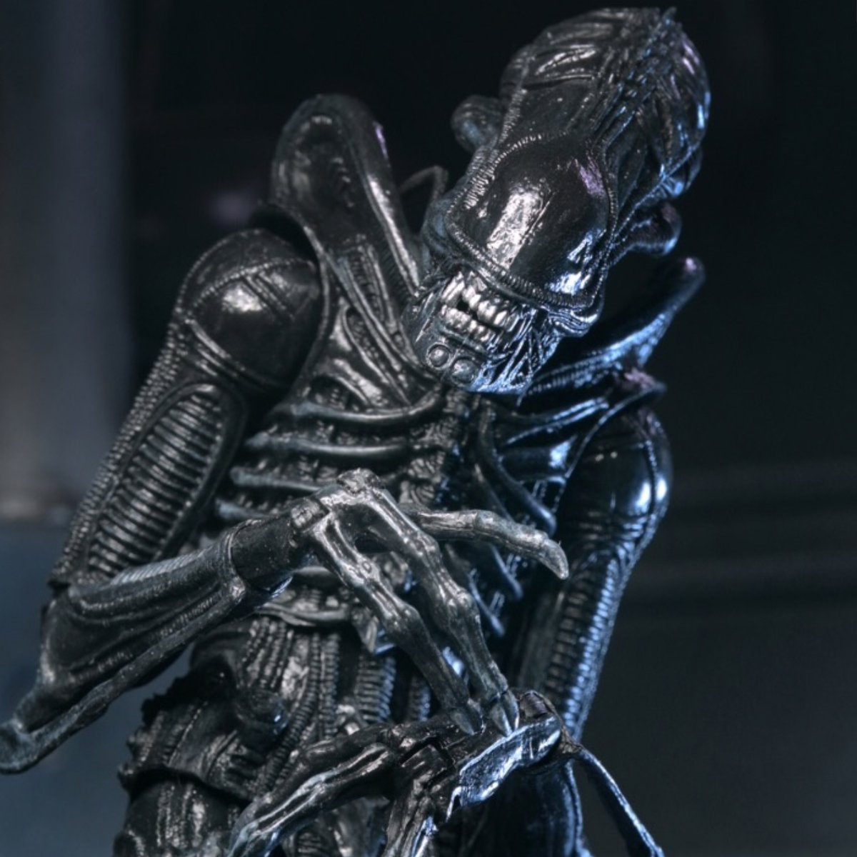 Mephitsu's tweet image. To mark Alien Day 2026 and the 40th Anniversary of Aliens with this NECA Ultimate Xenomorph Warrior in black decor, arriving late 2026

mephitsu.co.uk/post/alien-day…

#NECA #Aliens #AlienDay #Xenomorph
