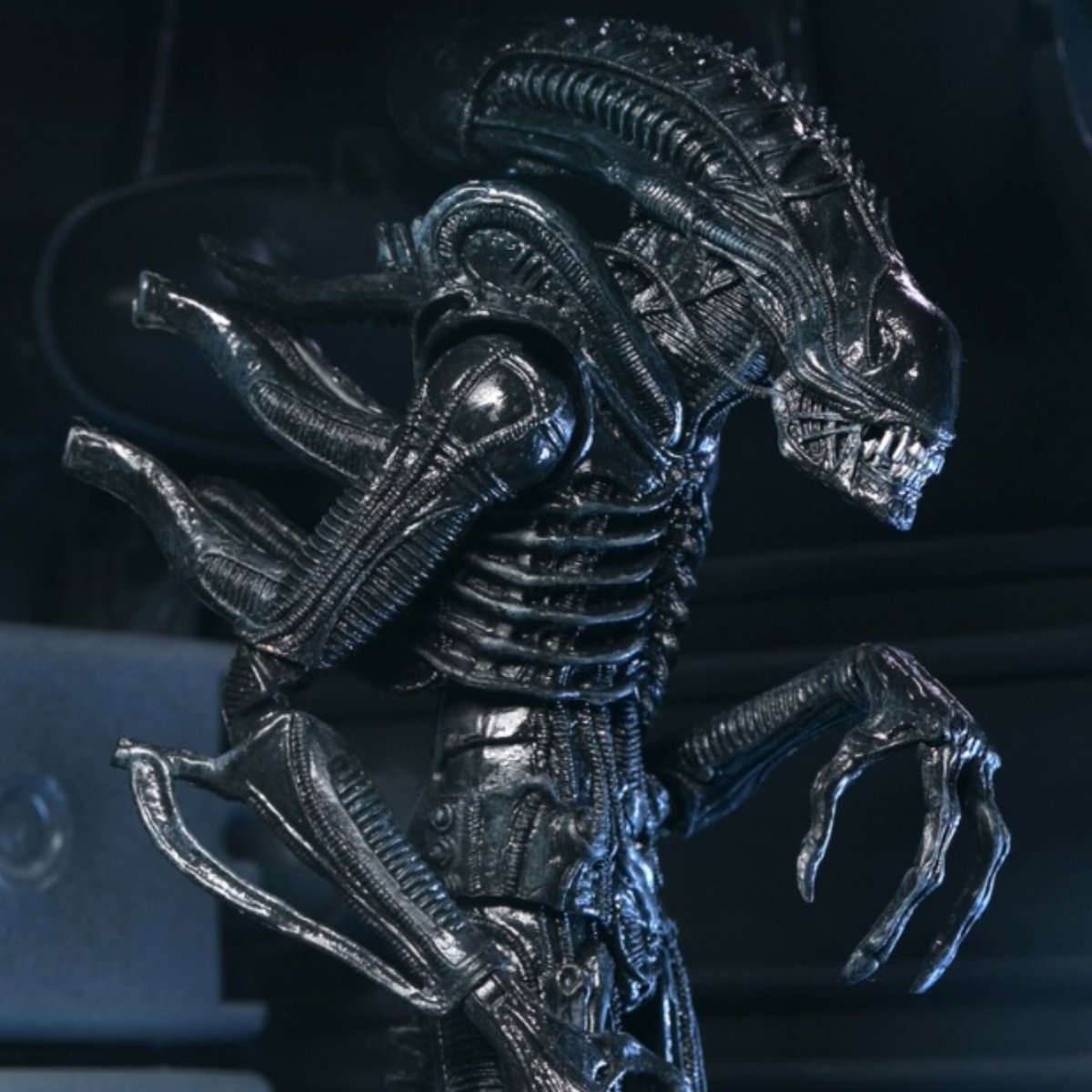 Mephitsu's tweet image. To mark Alien Day 2026 and the 40th Anniversary of Aliens with this NECA Ultimate Xenomorph Warrior in black decor, arriving late 2026

mephitsu.co.uk/post/alien-day…

#NECA #Aliens #AlienDay #Xenomorph
