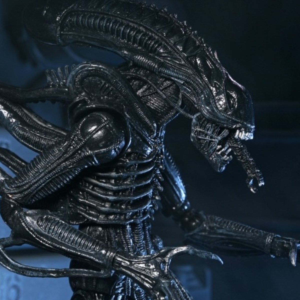 Mephitsu's tweet image. To mark Alien Day 2026 and the 40th Anniversary of Aliens with this NECA Ultimate Xenomorph Warrior in black decor, arriving late 2026

mephitsu.co.uk/post/alien-day…

#NECA #Aliens #AlienDay #Xenomorph