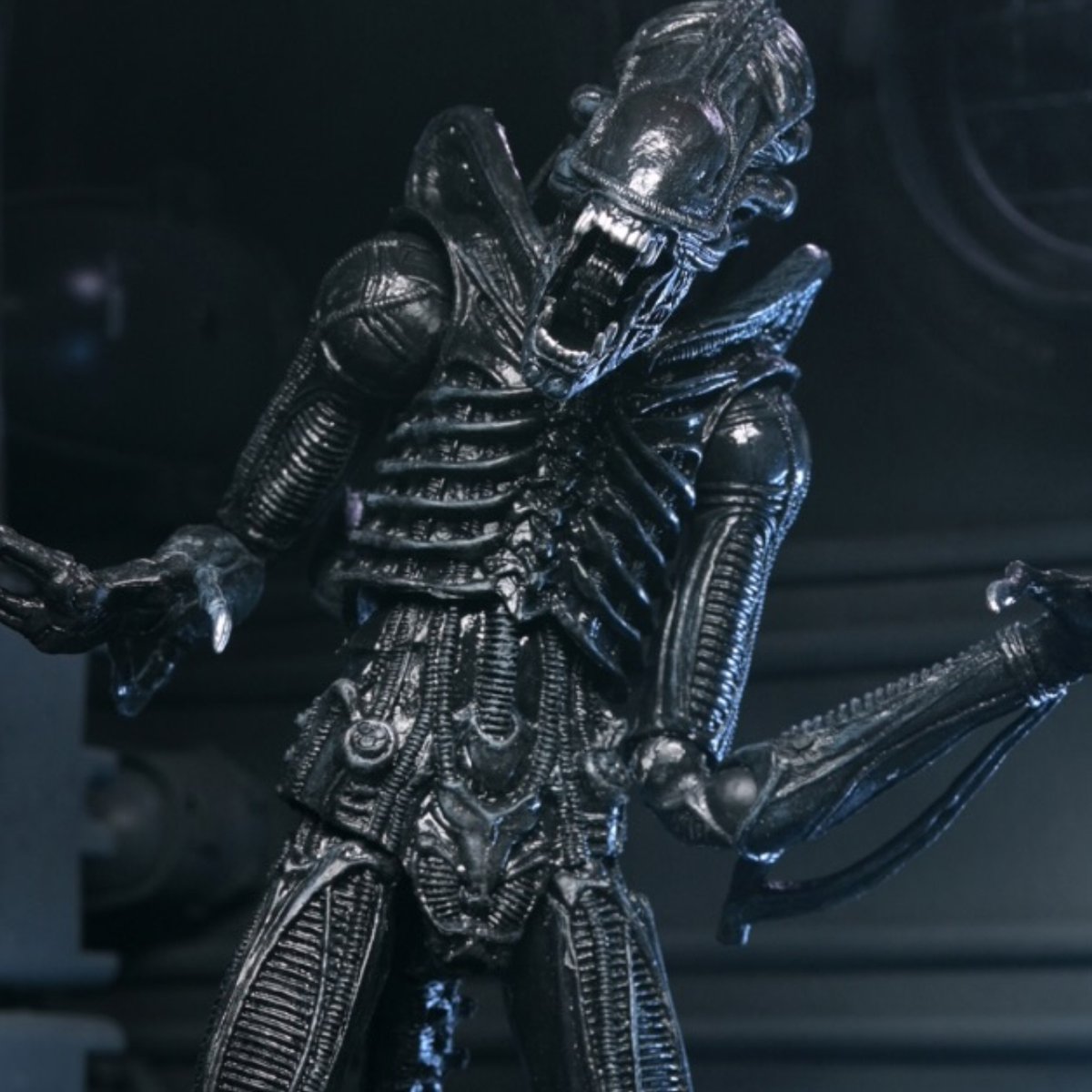 Mephitsu's tweet image. To mark Alien Day 2026 and the 40th Anniversary of Aliens with this NECA Ultimate Xenomorph Warrior in black decor, arriving late 2026

mephitsu.co.uk/post/alien-day…

#NECA #Aliens #AlienDay #Xenomorph