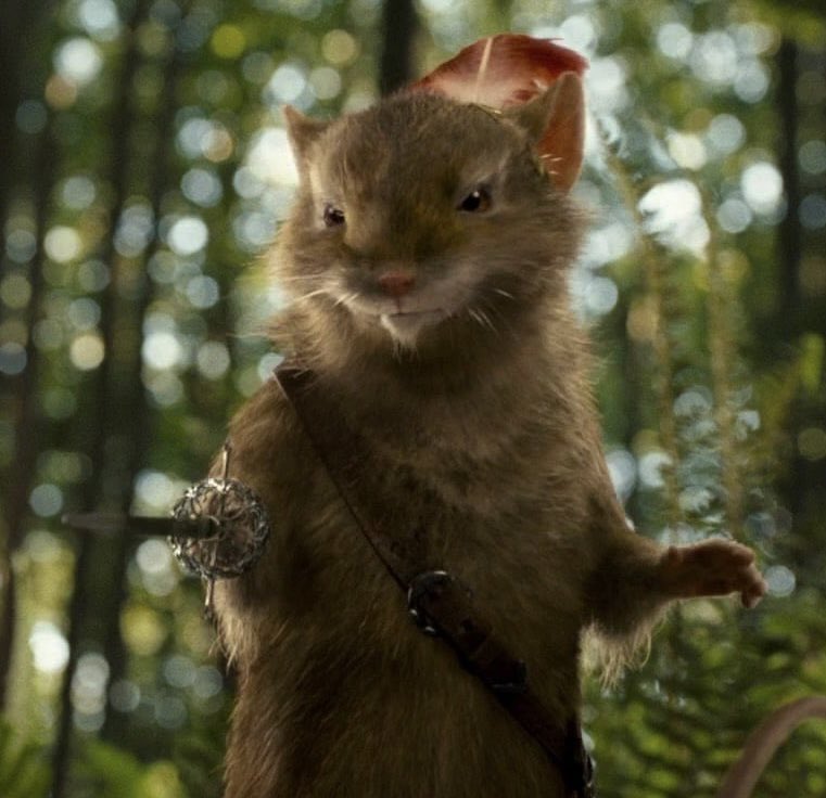 tyler ☠︎︎ tweet media