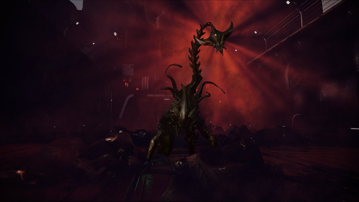 RogueF0X_Protea tweet media