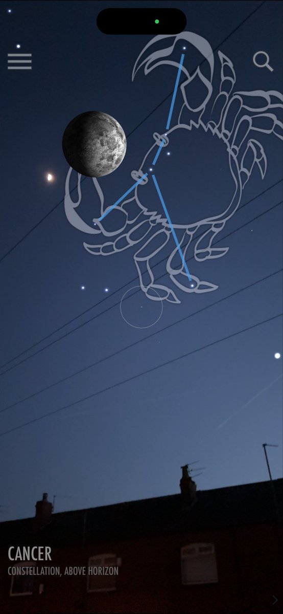 👍🇬🇧🐝Dave 🐝👍🇬🇧♦️🦁 tweet media