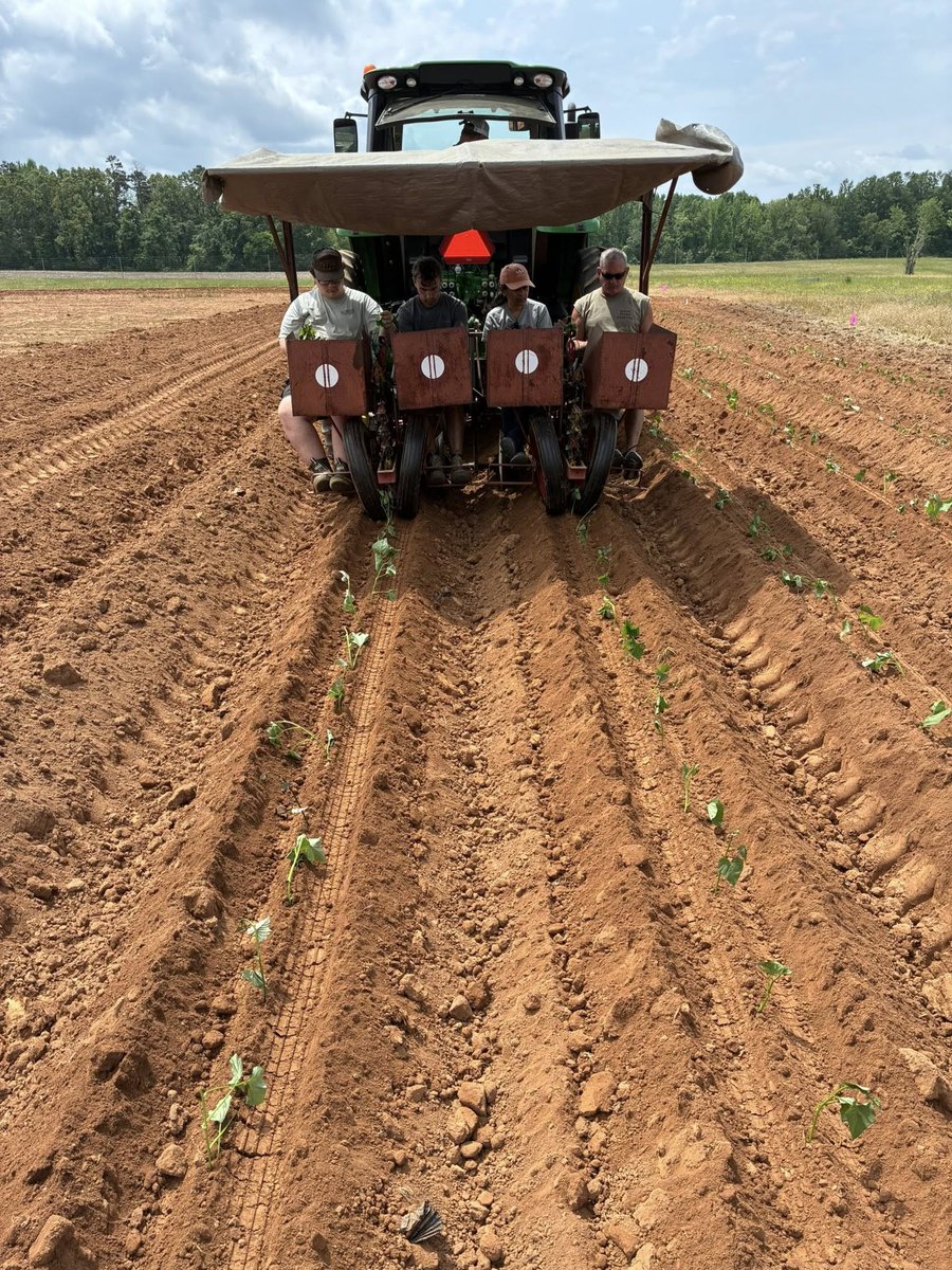 MSU Extension tweet media