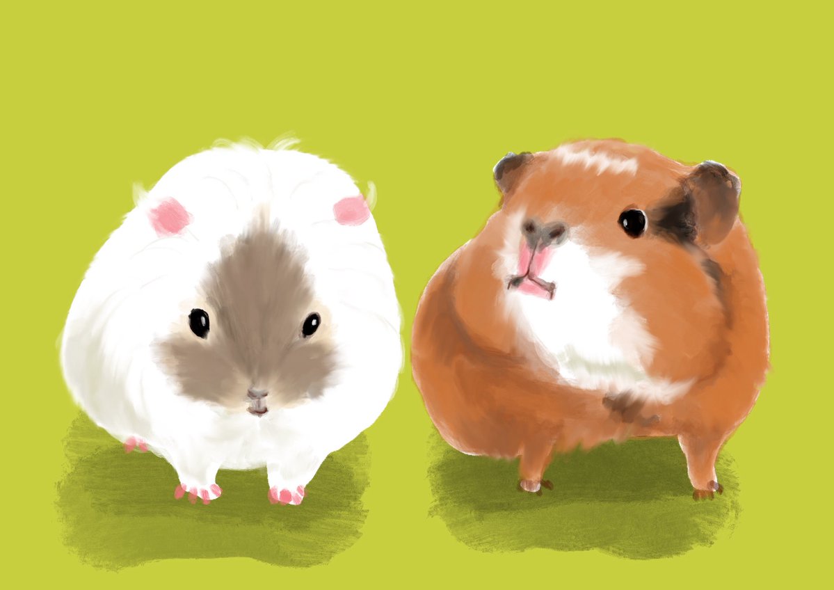 干し芋（東西屋） tweet media