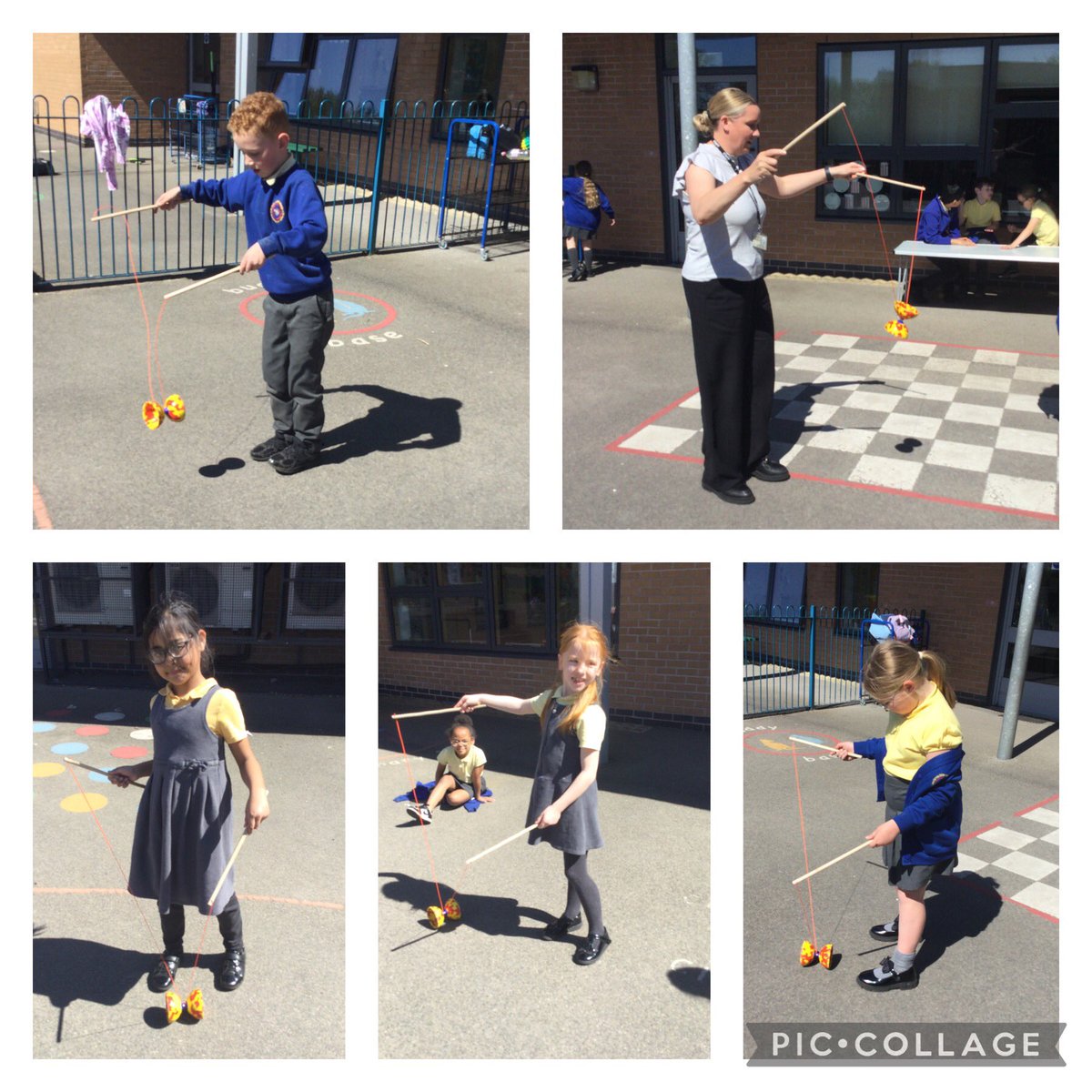 Hollin Primary tweet media