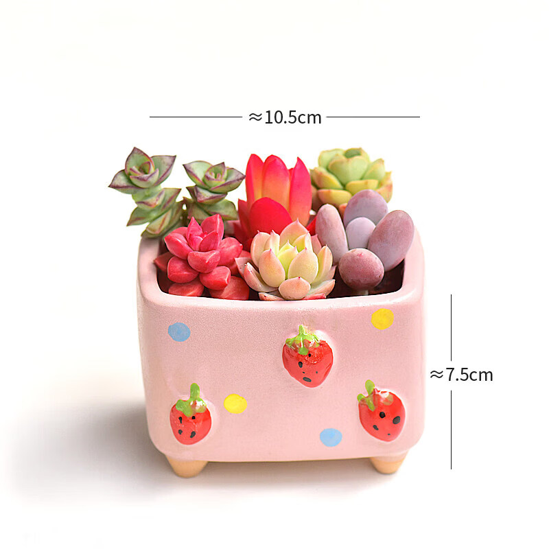 Viktoriya tweet media