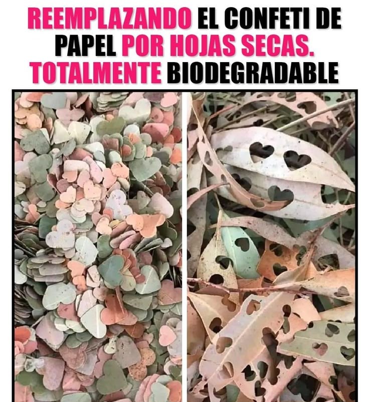 MsCiencia2's tweet image. Buenisimo tip
