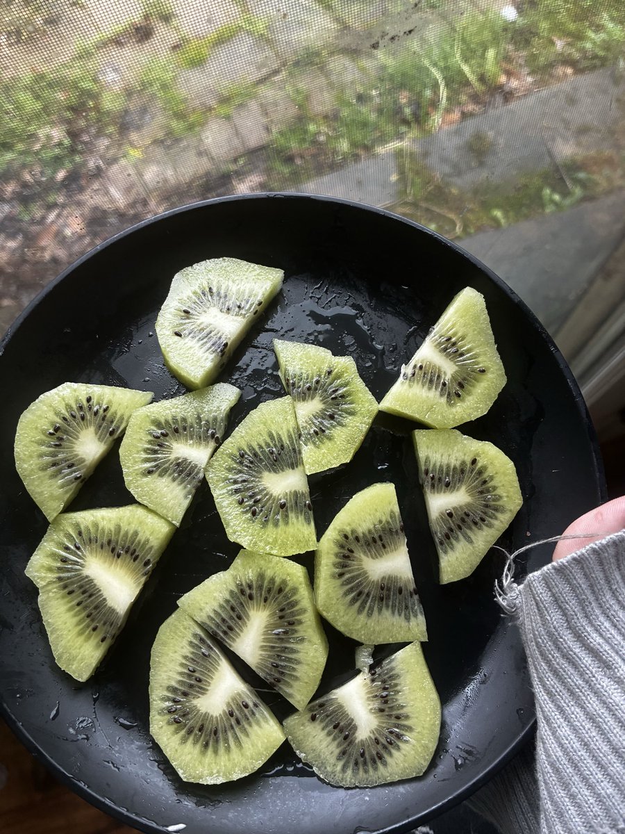 🐀🐛Jax tweet media