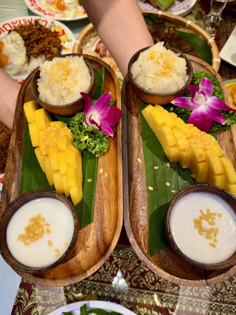 obiedbasha tweet media