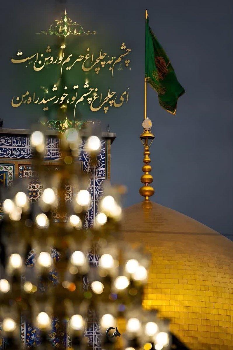 لاله های زهرایی tweet media