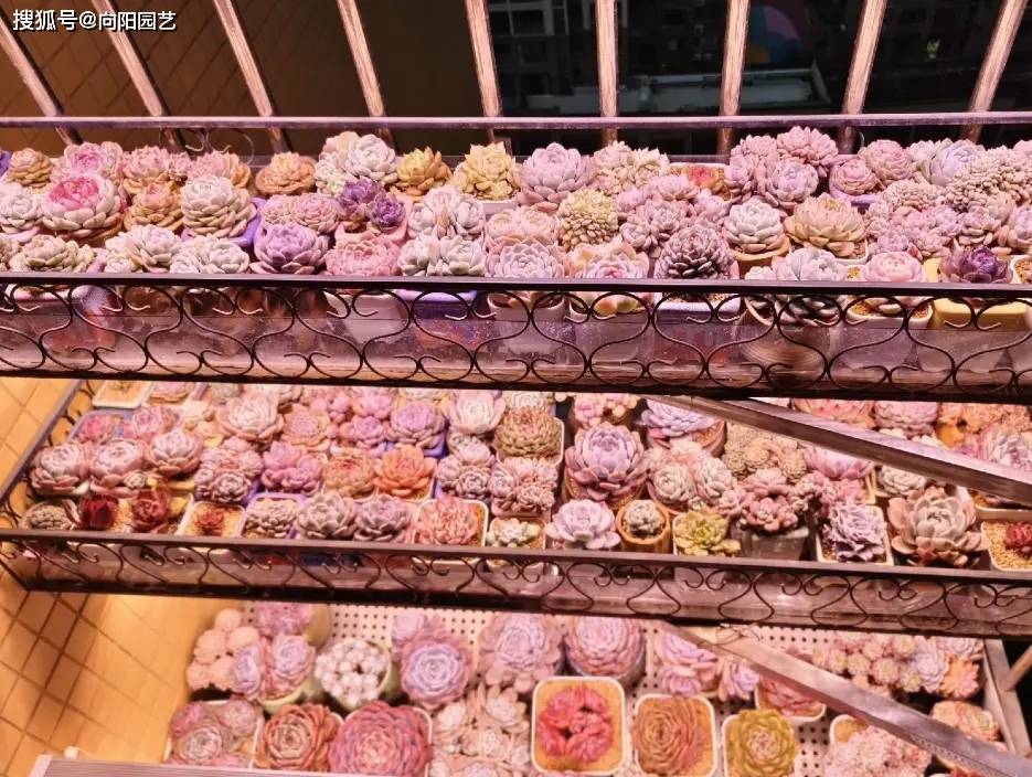 Blinda Hritz tweet media