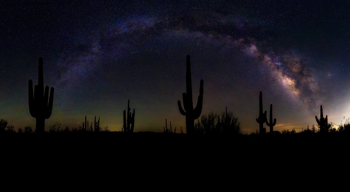 seanparkerphoto's tweet image. 2 more Milkyway photos from the other night in the Sonoran Desert! #milkyway #arizona #tucson #astrophotography #photography #landscapephotography