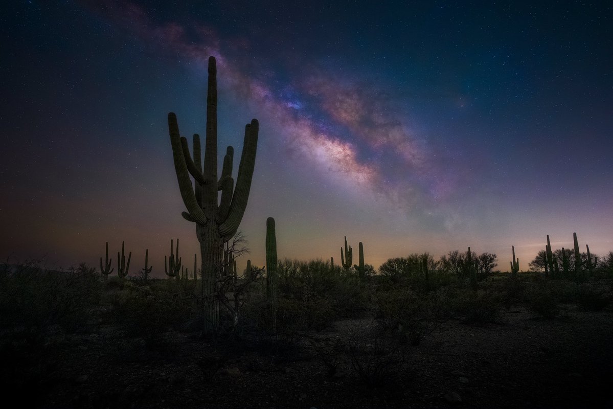 seanparkerphoto's tweet image. 2 more Milkyway photos from the other night in the Sonoran Desert! #milkyway #arizona #tucson #astrophotography #photography #landscapephotography