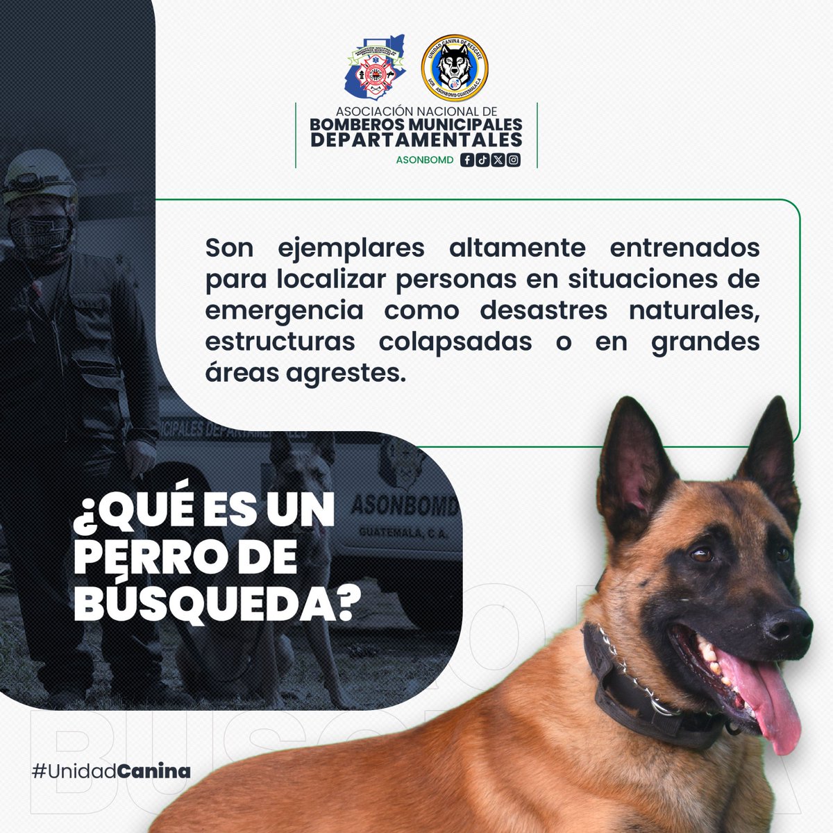 ASONBOMDGT's tweet photo. 📅 24 de abril | Día Internacional del Perro de Búsqueda y Rescate 🐾

Hoy reconocemos la invaluable labor de nuestros ejemplares caninos, quienes junto a sus guías forman un binomio esencial en la búsqueda y localización de personas en emergencia.

🐶🚒 Compromiso, disciplina y vocación de servicio que salvan vidas.

#ASONBOMD #UnidadCanina #PerrosDeRescate #Emergencias1554