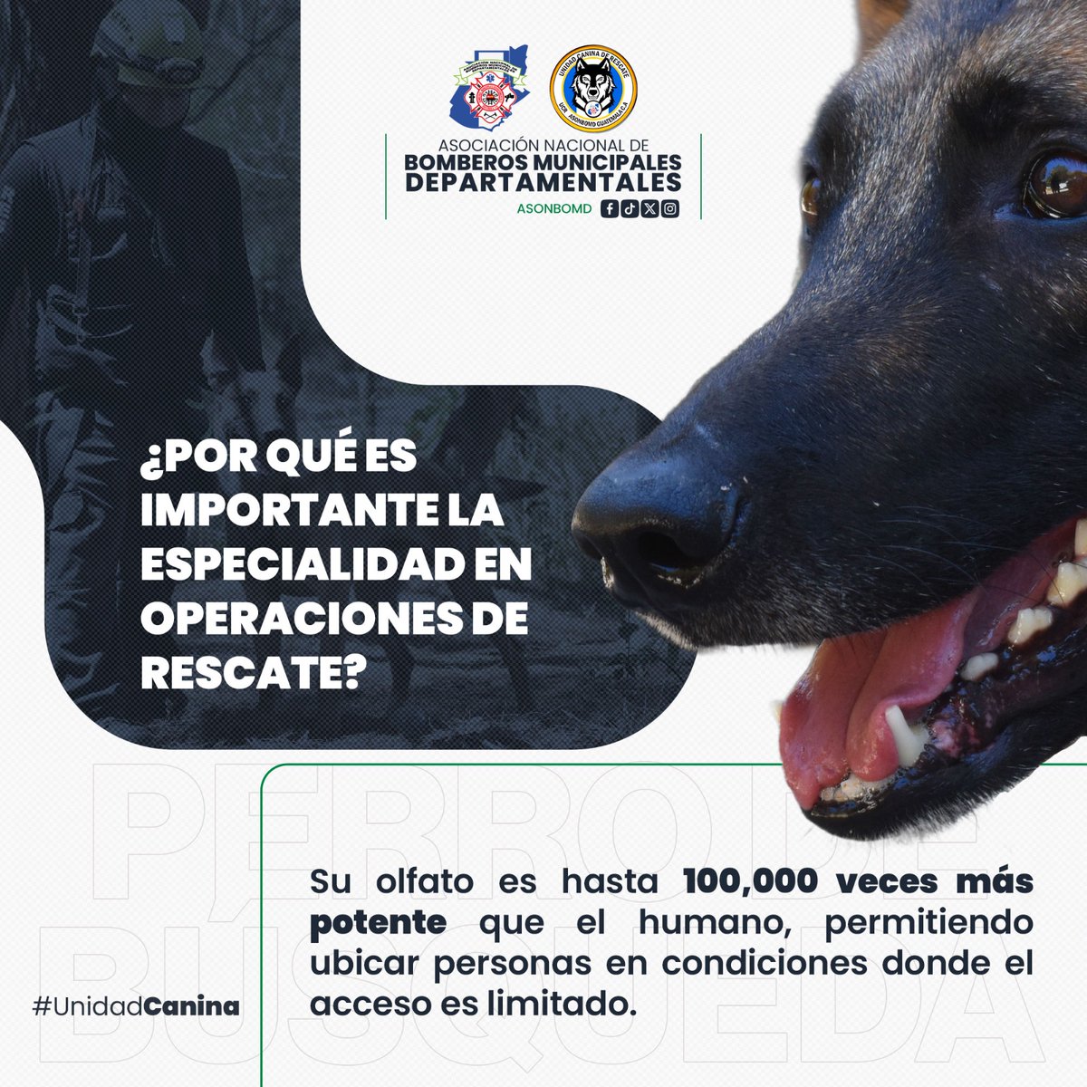 ASONBOMDGT's tweet photo. 📅 24 de abril | Día Internacional del Perro de Búsqueda y Rescate 🐾

Hoy reconocemos la invaluable labor de nuestros ejemplares caninos, quienes junto a sus guías forman un binomio esencial en la búsqueda y localización de personas en emergencia.

🐶🚒 Compromiso, disciplina y vocación de servicio que salvan vidas.

#ASONBOMD #UnidadCanina #PerrosDeRescate #Emergencias1554