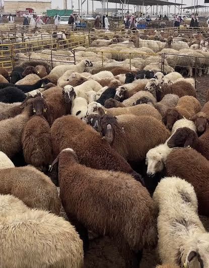 عبدالله العنزي tweet media