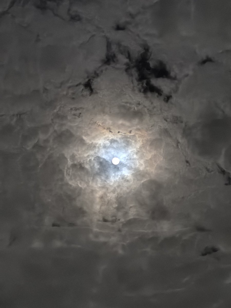 🇸🇦 إياس.شو🎬 tweet media