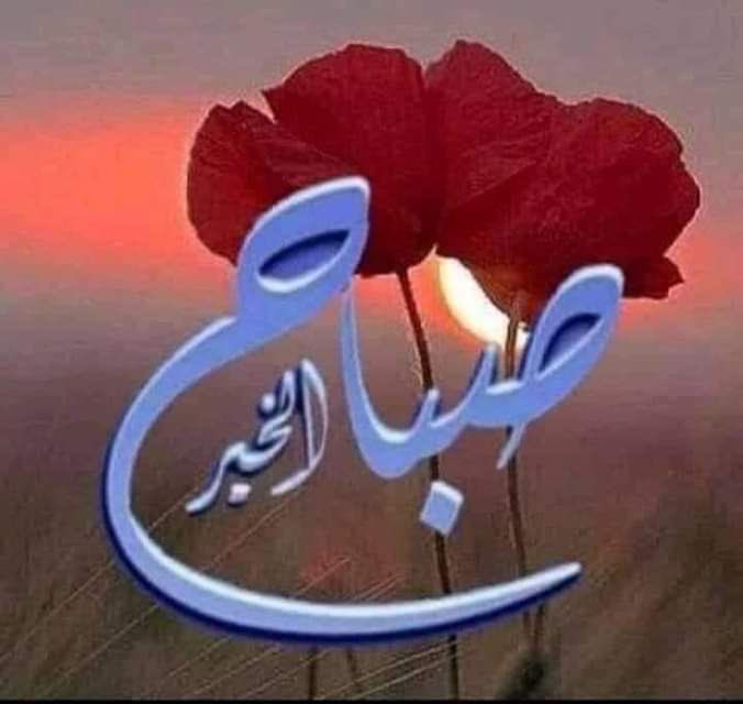 سهام tweet media