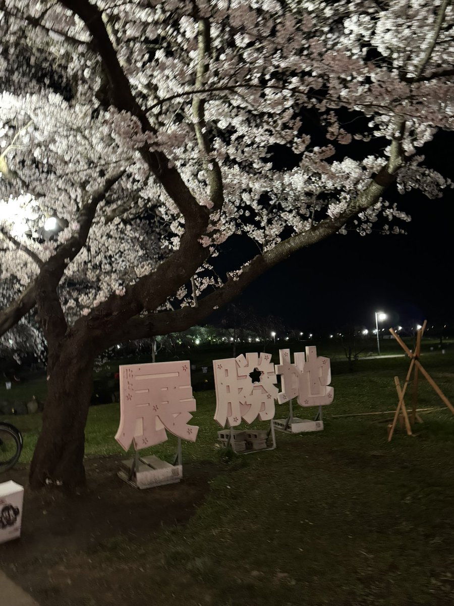 k........k tweet media