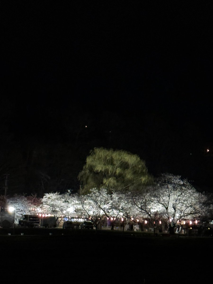 k........k tweet media