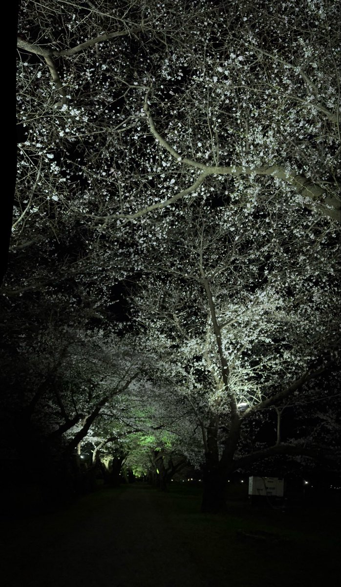 k........k tweet media