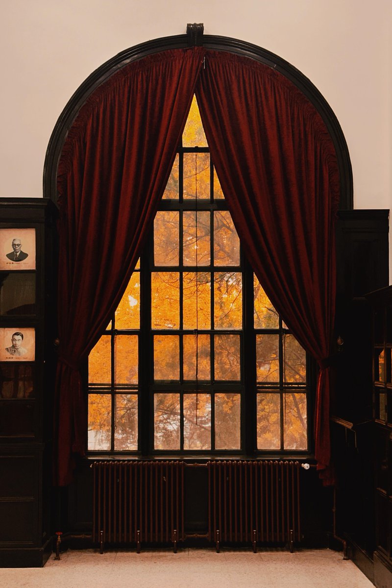 Gonfrere Thibault tweet media