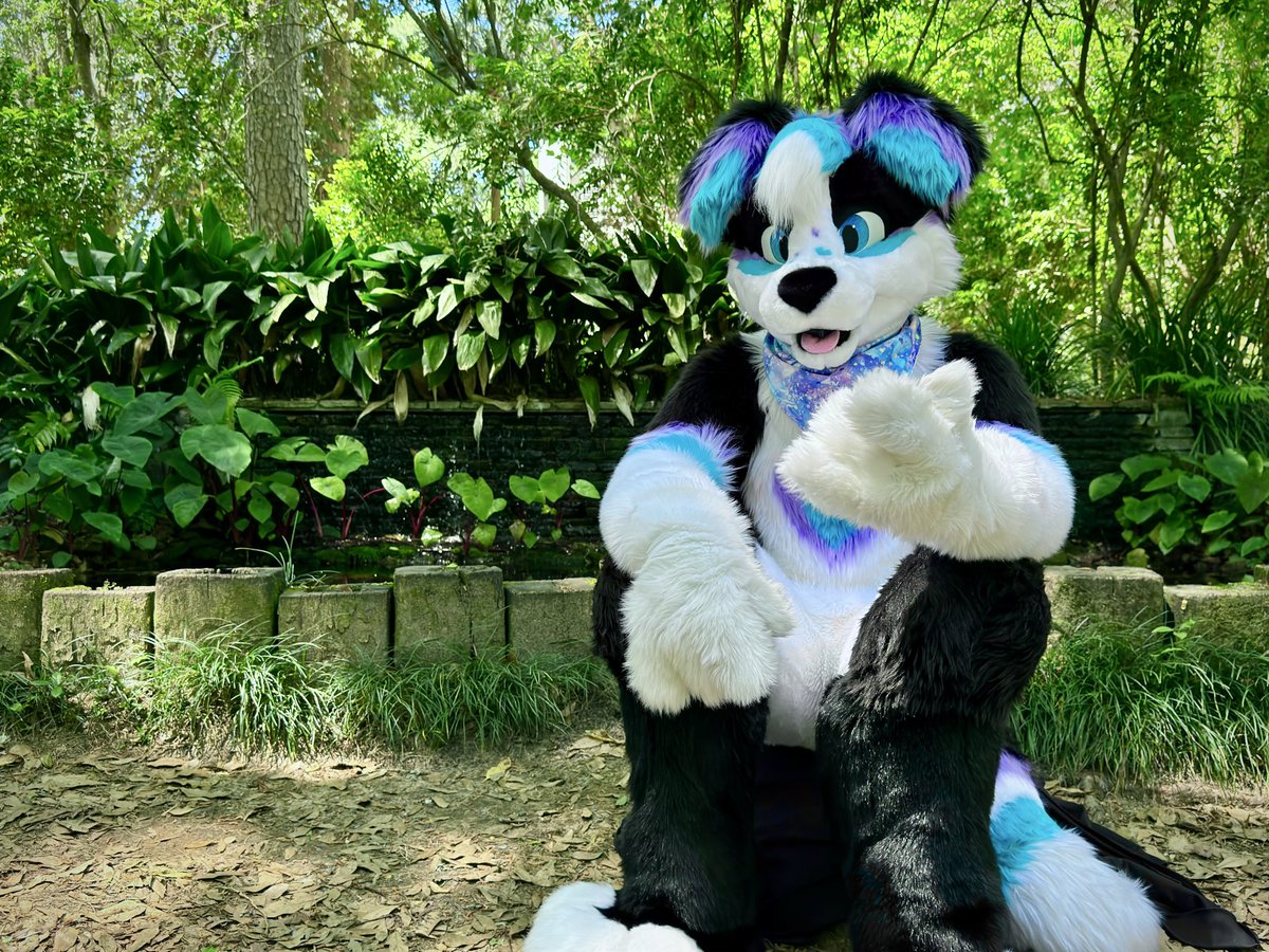 Hope Collie tweet media