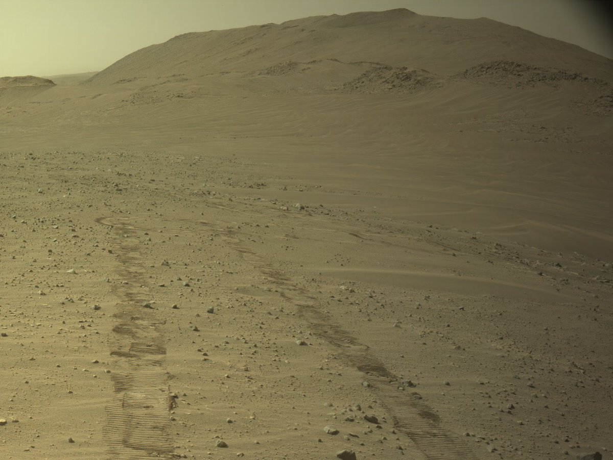 AstroFaisal tweet media