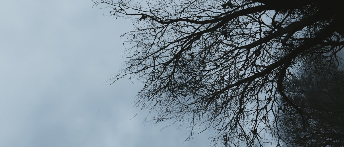 𝗘𝘃𝗲𝘆 tweet media