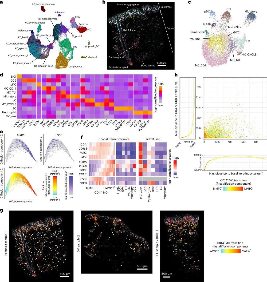 Waggoner Lab tweet media
