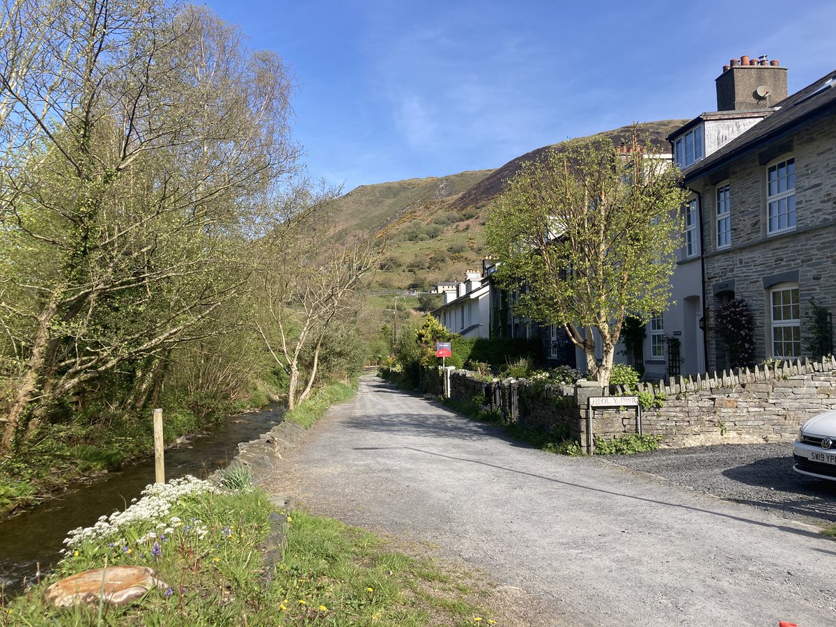 North Wales #treeclub 
<a href="/WoodlandNomad/">TC🌳</a>
