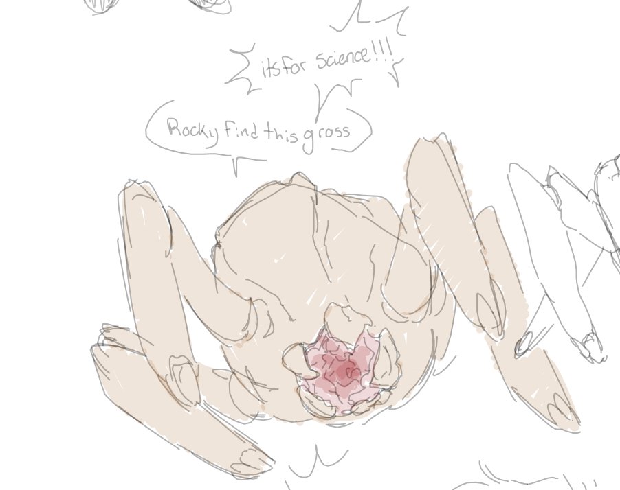 that "thing" tweet media