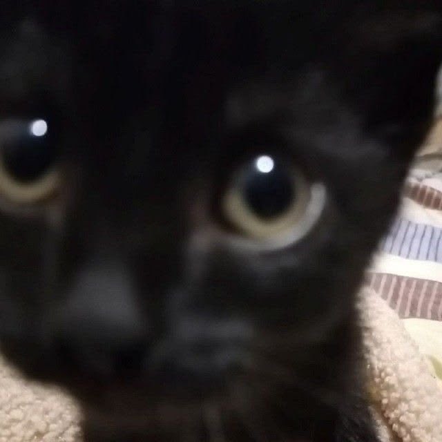 oh little shane and what are you doing here even