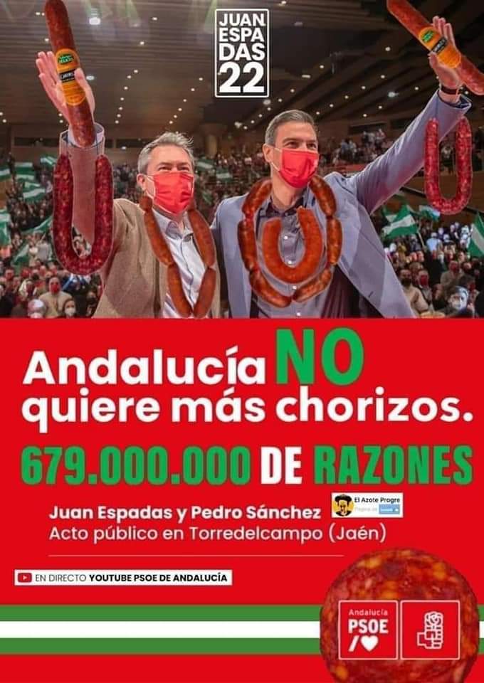 Bridsur 🇪🇦 tweet media