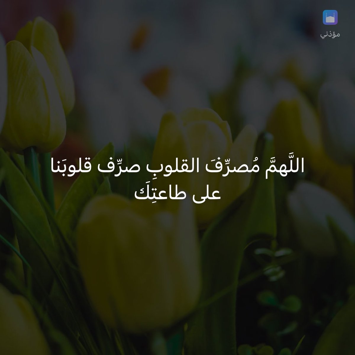 وذكِّر tweet media