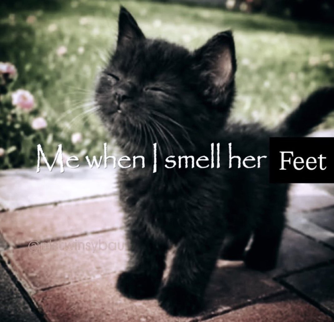 VTuberFeetFan's tweet photo. I have a friend :D https://t.co/IwcacGoLze