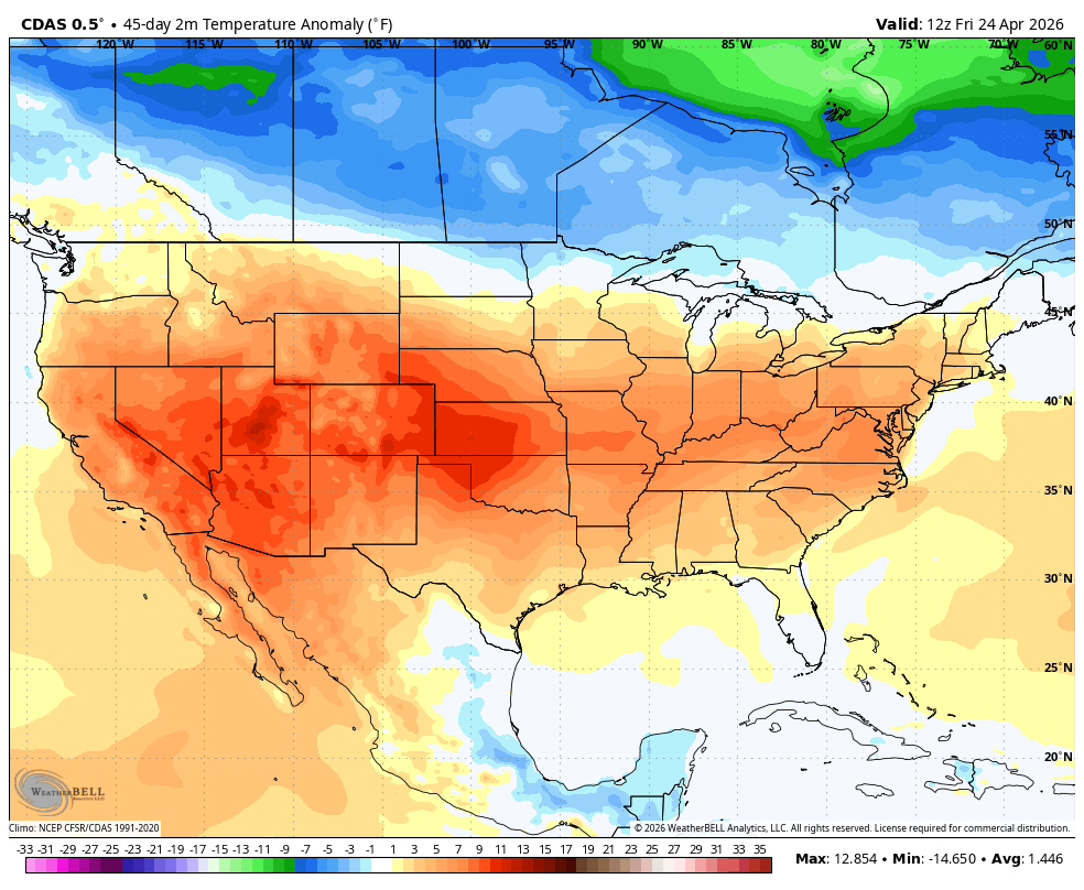 The American Storm tweet media