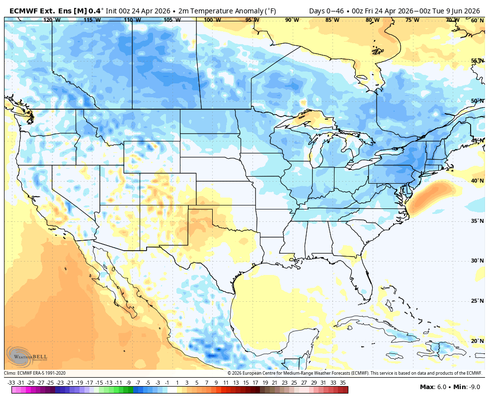 The American Storm tweet media