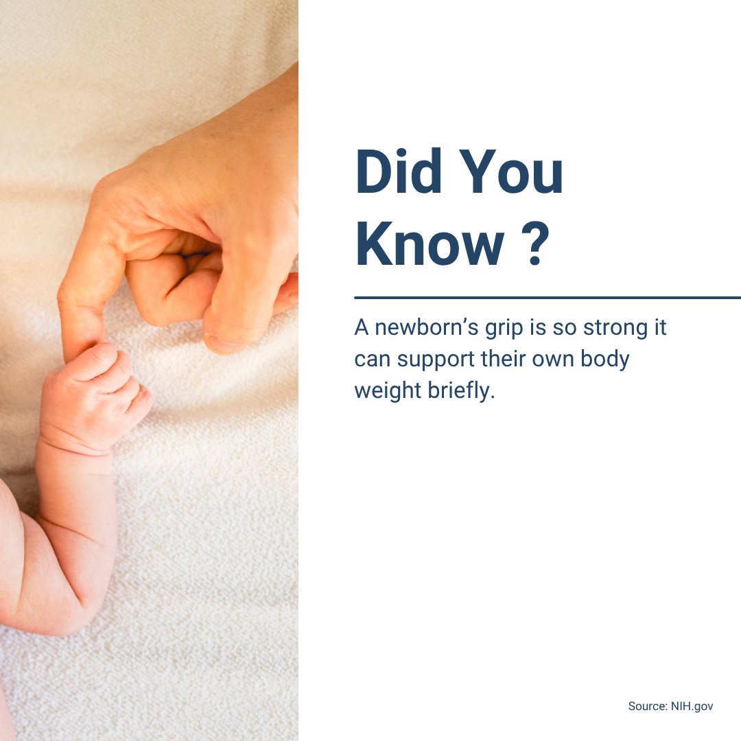 AIMSEDUCATION's tweet image. Sounds unbelievable, right? 👀

This natural reflex is present at birth and is one of many amazing abilities newborns have.

#FunFactFriday #BabyFacts #FutureHealthcare #AIMSEducation