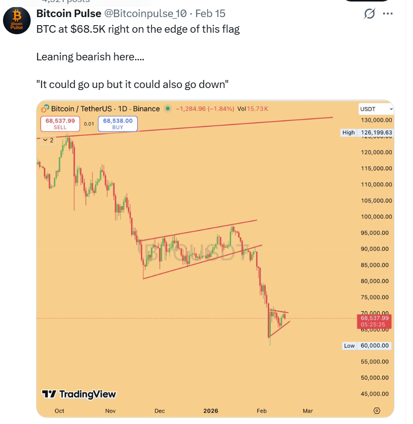 Josh Man tweet media